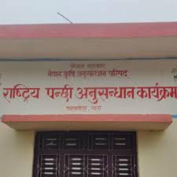 अनुसन्धानका लागि पालिएका ५० लाखका पन्छी क्षति